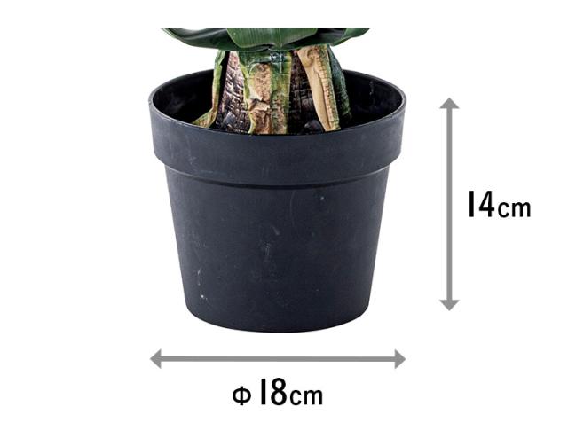 人工観葉植物 フェイクグリーン アガベ GRN-14 H53cm 人工植物 観葉植物 おしゃれ フェイク 造花 大型 グリーン インテリア_8