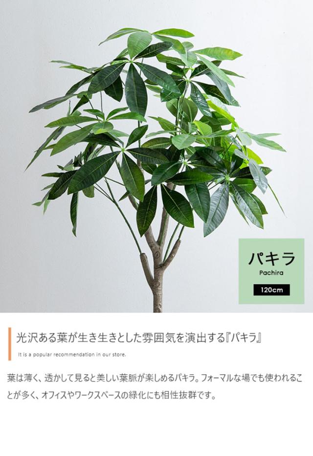 フェイクグリーン 観葉植物 高さ120cm 大型 光触媒 人工観葉植物 パキラ Nature(ナチュレ) フェイク グリーン 人工 観葉植物 おしゃれ 造花 鉢付き ナチュラル 抗菌 消臭 リビング オフィス お祝い_5