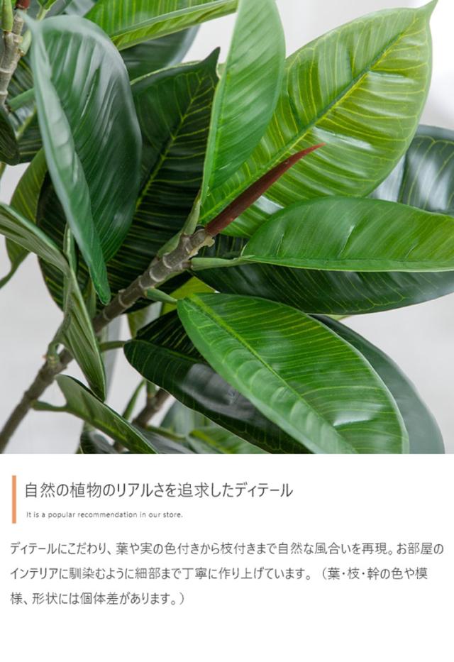 フェイクグリーン 観葉植物 高さ120cm 大型 光触媒 人工観葉植物 パキラ Nature(ナチュレ) フェイク グリーン 人工 観葉植物 おしゃれ 造花 鉢付き ナチュラル 抗菌 消臭 リビング オフィス お祝い_7