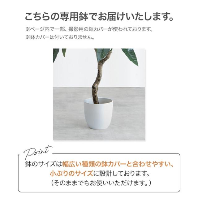 フェイクグリーン 観葉植物 高さ120cm 大型 光触媒 人工観葉植物 パキラ Nature(ナチュレ) フェイク グリーン 人工 観葉植物 おしゃれ 造花 鉢付き ナチュラル 抗菌 消臭 リビング オフィス お祝い_13