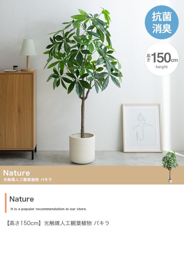 フェイクグリーン 観葉植物 高さ150cm 大型 光触媒 人工観葉植物 パキラ Nature(ナチュレ) フェイク グリーン 人工 観葉植物 おしゃれ 造花 鉢付き ナチュラル 抗菌 消臭 リビング オフィス お祝い_2
