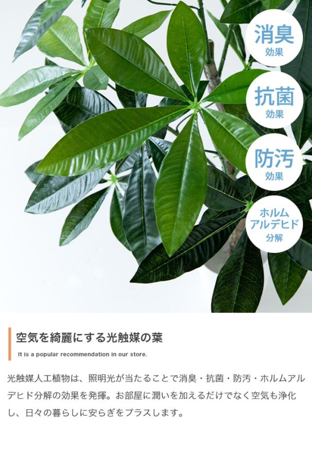 フェイクグリーン 観葉植物 高さ150cm 大型 光触媒 人工観葉植物 パキラ Nature(ナチュレ) フェイク グリーン 人工 観葉植物 おしゃれ 造花 鉢付き ナチュラル 抗菌 消臭 リビング オフィス お祝い_4