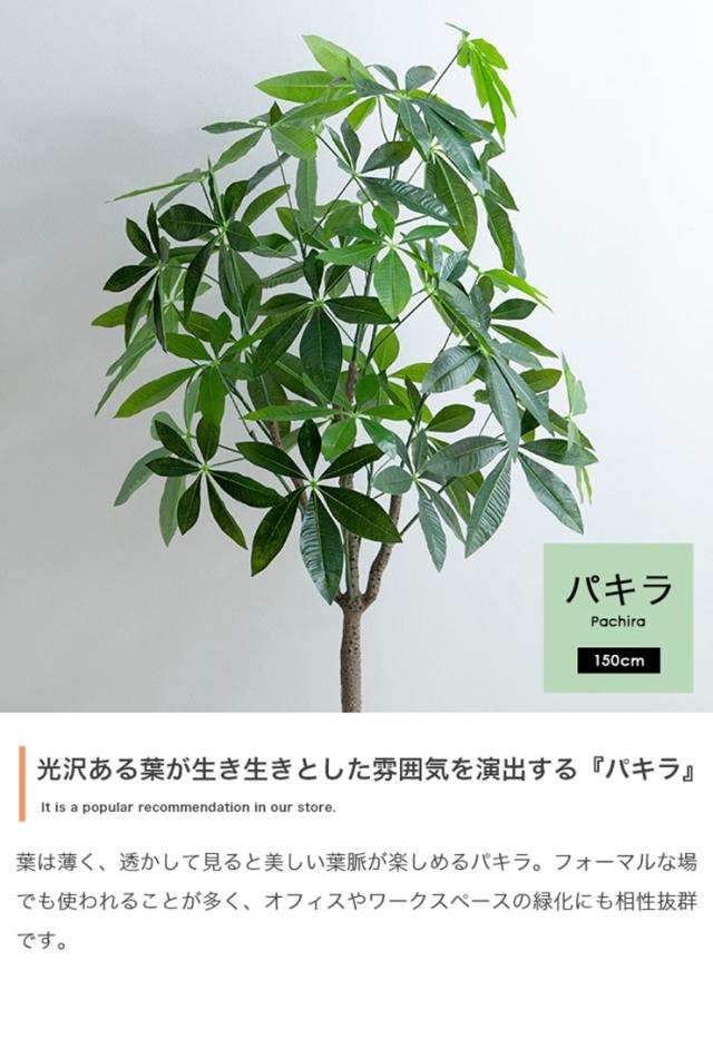 フェイクグリーン 観葉植物 高さ150cm 大型 光触媒 人工観葉植物 パキラ Nature(ナチュレ) フェイク グリーン 人工 観葉植物 おしゃれ 造花 鉢付き ナチュラル 抗菌 消臭 リビング オフィス お祝い_5
