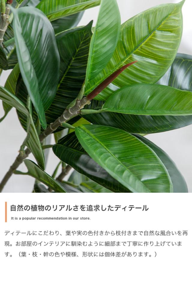 フェイクグリーン 観葉植物 高さ150cm 大型 光触媒 人工観葉植物 パキラ Nature(ナチュレ) フェイク グリーン 人工 観葉植物 おしゃれ 造花 鉢付き ナチュラル 抗菌 消臭 リビング オフィス お祝い_7