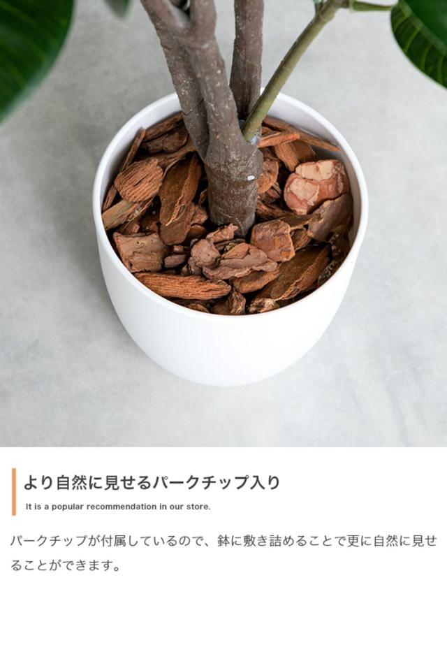 フェイクグリーン 観葉植物 高さ150cm 大型 光触媒 人工観葉植物 パキラ Nature(ナチュレ) フェイク グリーン 人工 観葉植物 おしゃれ 造花 鉢付き ナチュラル 抗菌 消臭 リビング オフィス お祝い_8