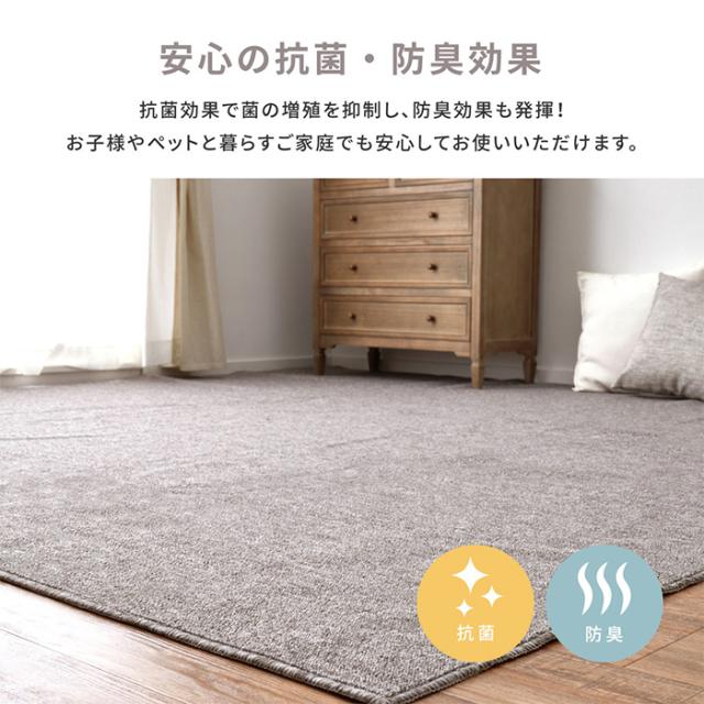デザインカーペット 絨毯 平織カーペット モーエン 江戸間6帖 約261x352cm 日本製 抗菌 防炎 ホットカーペット対応 床暖房対応 フリーカット可 リビング 寝室_3