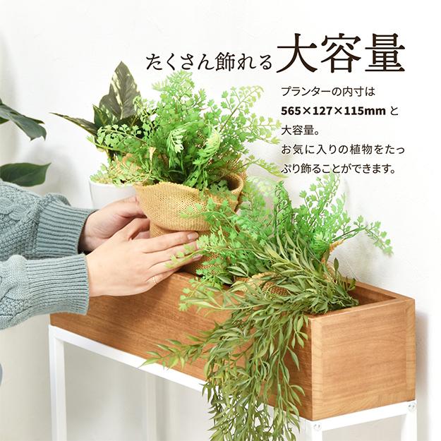 プランターボックス 幅55 桐の天然木のプランタースタンド W550×D210