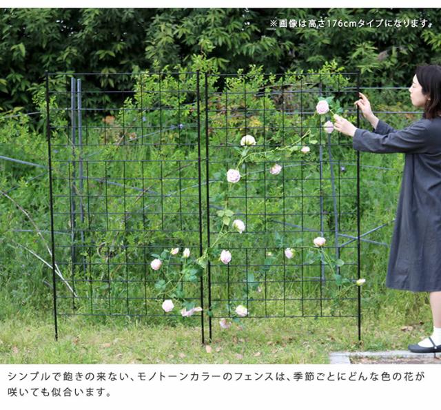 柵 おしゃれ アイアンフェンス 高さ75 グラフ 8枚組 モダン モノトーン 通気性 採光性 耐久性 ガーデニング 花壇 ナチュラル 朝顔 ゴーヤ アンティーク風 仕切り_3