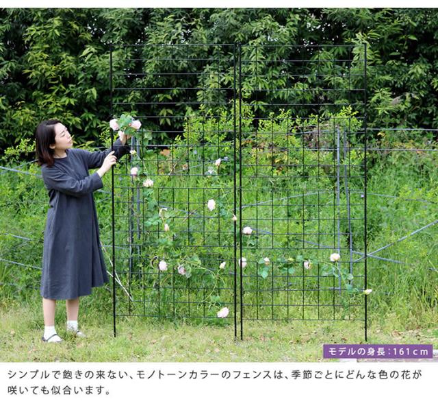 柵 おしゃれ アイアンフェンス 高さ226 グラフ 2枚組 モダン モノトーン 通気性 採光性 耐久性 ガーデニング ナチュラル 朝顔 ゴーヤ アンティーク風 仕切り_4