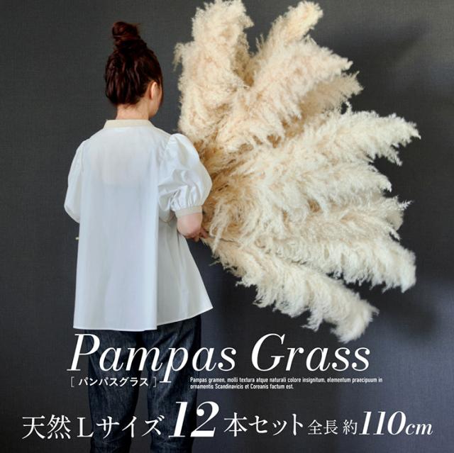 ドライフラワー 天然 穂 インテリア スワッグ 花束 花材 観葉植物 リース ブーケ おしゃれ シンプル 北欧 韓国 ふわふわ リビング ダイニング 和室 玄関 PampasGrass(パンパスグラス) Lサイズ 110cm 12本セット