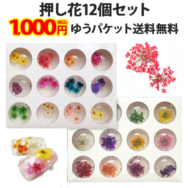 ドライフラワー 押し花or小花 メール便送料無料 パーツ の通販はau Pay マーケット 名入れケースのネイルンデコ
