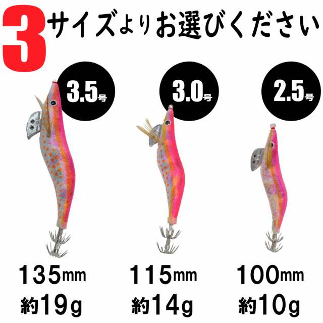 エギ エギング10点 餌木 イカ釣り 3.5号 3.0号 2.5号 ルアー 収納