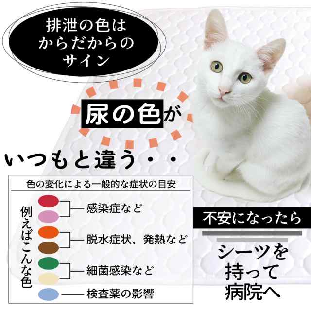 ペットシーツ 洗える 2枚セット ペットマット おしっこマット 猫 犬