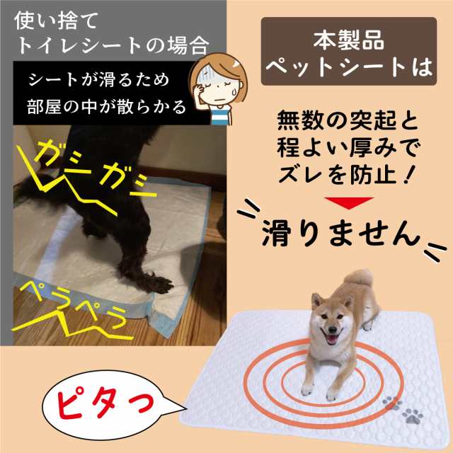 ペットシーツ サイズM 洗える 2枚セット ペットマット おしっこマット 猫 犬 おしっこパッド トイレシート 防水 70×50cmの通販はau  PAY マーケット - purple7 | au PAY マーケット－通販サイト