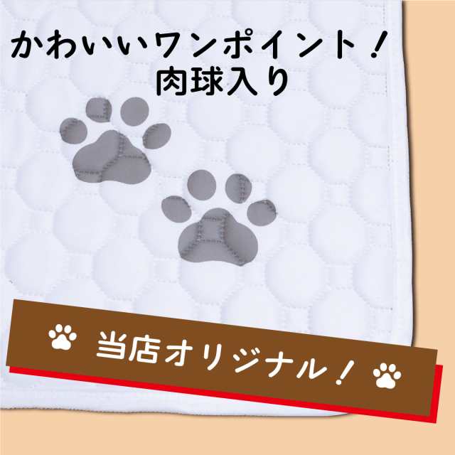 ペットシーツ サイズM 洗える 2枚セット ペットマット おしっこマット 猫 犬 おしっこパッド トイレシート 防水 70×50cm｜au PAY  マーケット