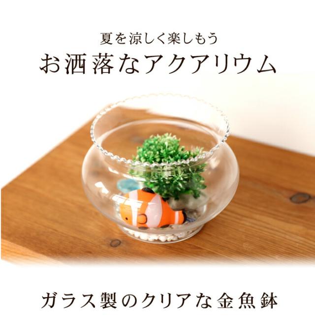 ちっちゃな おしゃれ金魚鉢 ガラスクリアー S（1.3リットル）の通販は