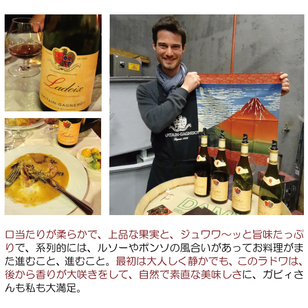 よりどり6本で送料無料 2020 コルトン レ ルナルド グラン クリュ 750ml キャピタン ガニュロ 赤ワイン コク辛口 ワイン ^B0OTRN20^