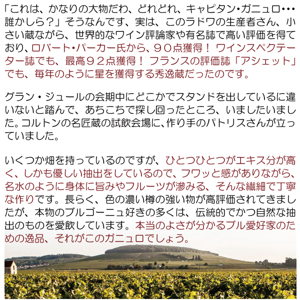 よりどり6本で送料無料 2020 コルトン レ ルナルド グラン クリュ 750ml キャピタン ガニュロ 赤ワイン コク辛口 ワイン ^B0OTRN20^
