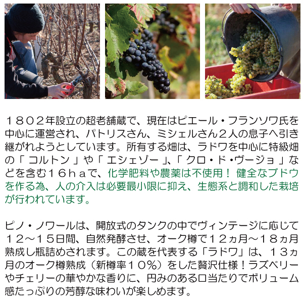 よりどり6本で送料無料 2020 コルトン レ ルナルド グラン クリュ 750ml キャピタン ガニュロ 赤ワイン コク辛口 ワイン ^B0OTRN20^