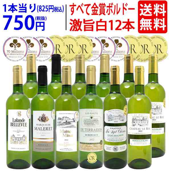 ワイン ワインセット すべて金賞 フランス名産地ボルドー辛口白激旨１２本セット (6種各2本) 送料無料 ^W0DK51SE^