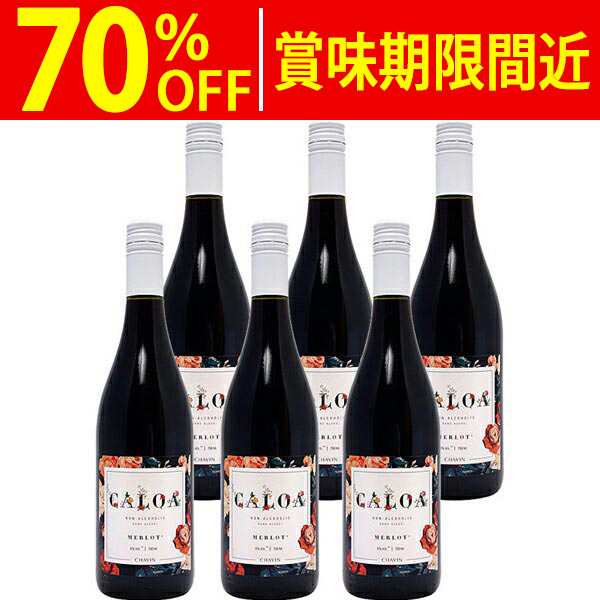 高価値セリー 2013 グラーヴ特別級 750ml ルージュ フューザル ド シャトー ワイン