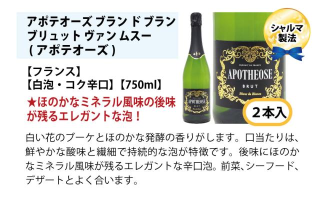 本場フランス産の極上辛口スパークリングワイン12本セット 送料無料