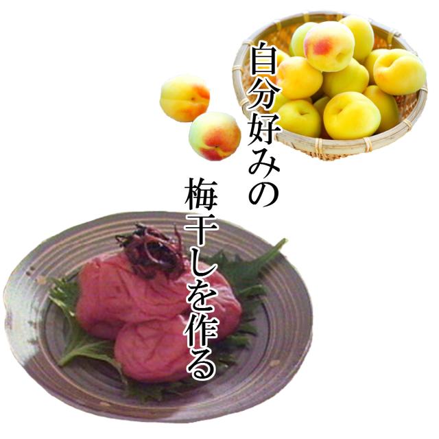 送料無料 もみしそ しその葉 赤しそ 梅干し用しその葉 国内産 500g X 1袋 生梅2kg用の通販はau Pay マーケット おつまみ問屋