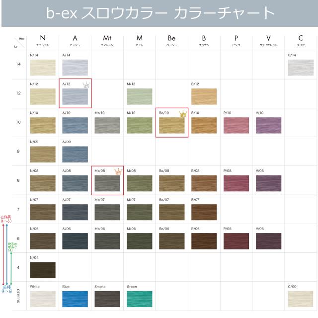 スロウカラー ファッションカラー 100g 1本と オキシ 100ml セット