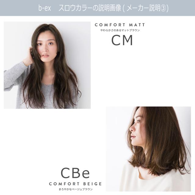 白髪染め スロウカラー 100g 1本 ヘアカラー カラーリング 女性用 の