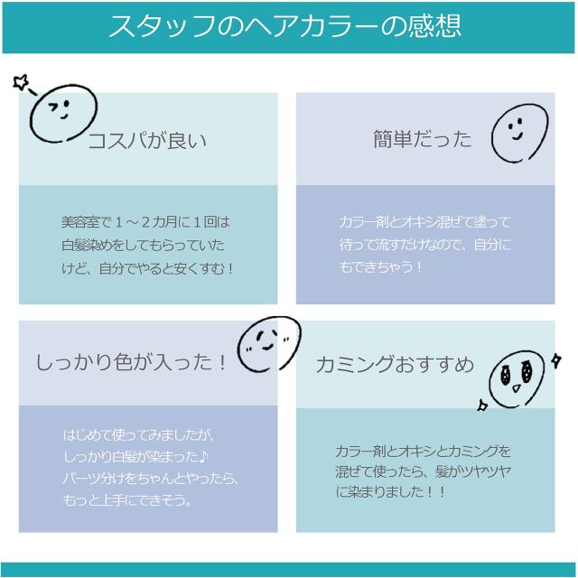 ルベル マテリア 80g 1本 おしゃれ染め クールブラウン ブラウン