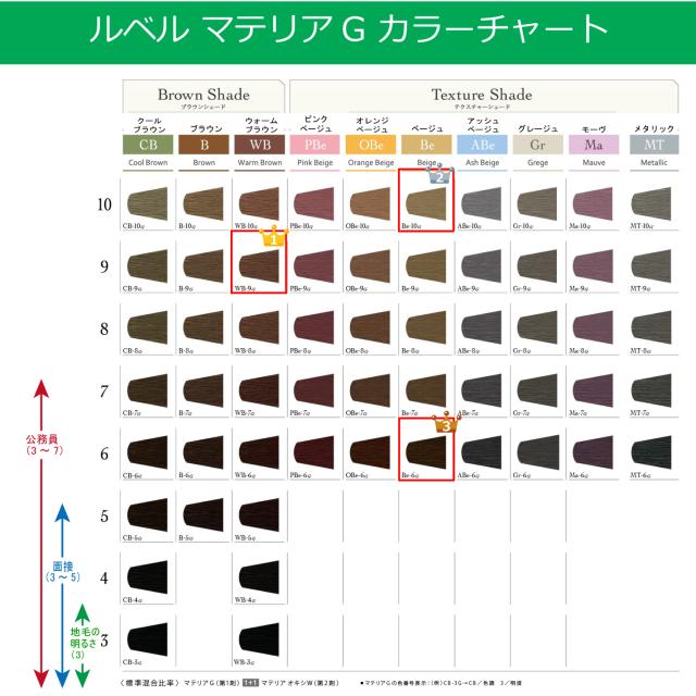 白髪染め ルベル マテリアG 120g 1本と オキシW 1000ml セット