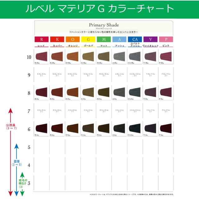 白髪染め ルベル マテリアG 120g 1本と オキシW 1000ml セット
