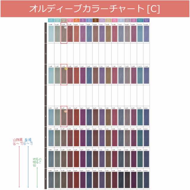ミルボン オルディーブ ベーシックトーン 80g [ A ] 女性用