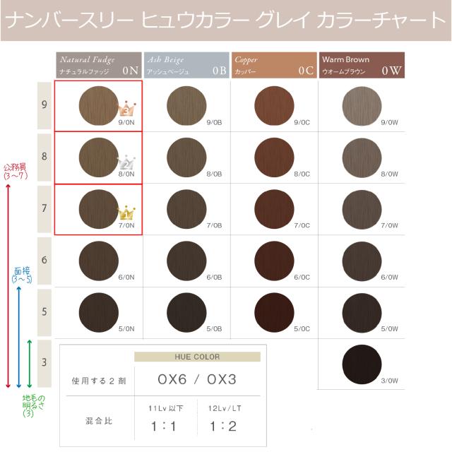 白髪染め ヒュウ カラー グレイ HUE 80g 1個と ナンバースリーオキシ