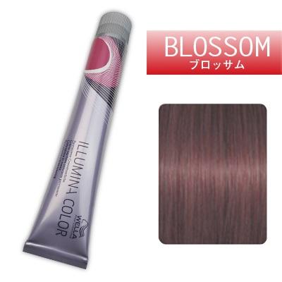 ポルシェ　イルミナカラー　ブロッサム　8本セット illumina_blossom_8.jpg