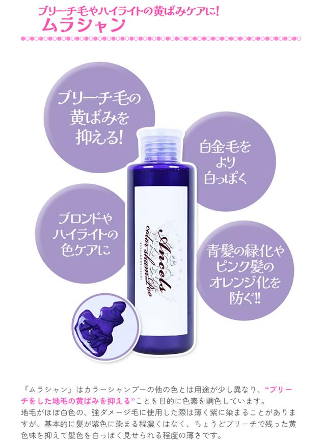 エンシェールズ カラーシャンプー 2本 セット ヘアカラー カラーリング