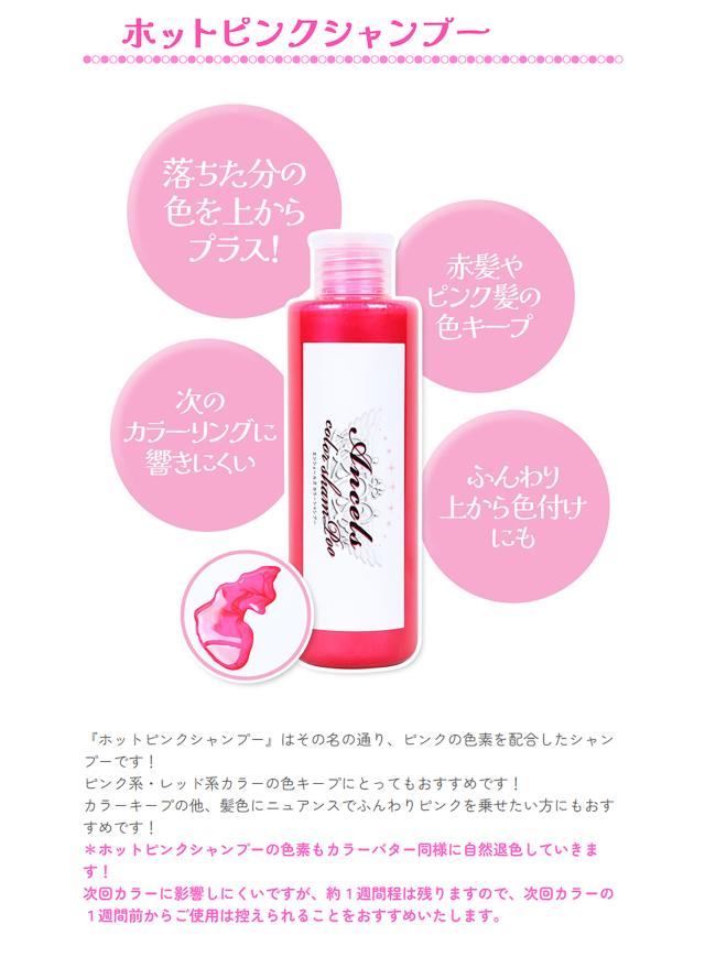 エンシェールズ カラーシャンプー 2本 セット ヘアカラー カラーリング