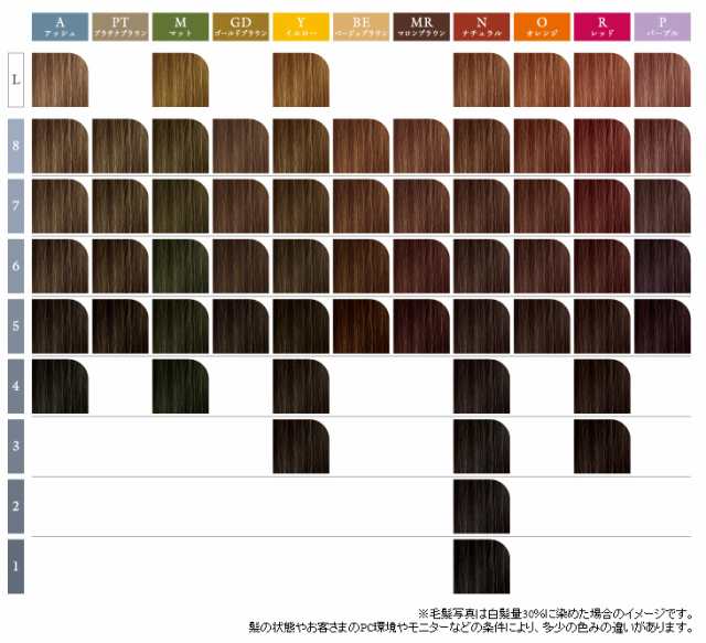 資生堂 ディアニストエクラ 80g Bk ブラック 業務用 プロ用 白髪染め ヘアカラー 通販 ディアの通販はau Pay マーケット ベリーズコスメ