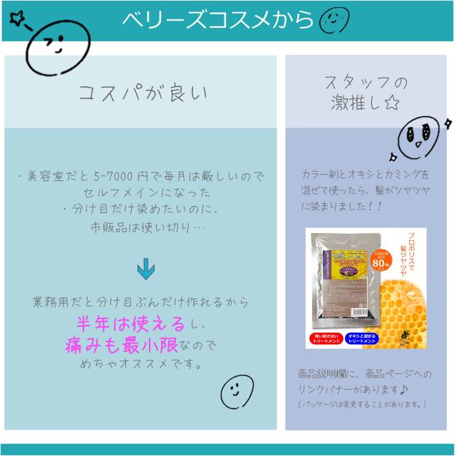 アルティストカラー 30本オキシ3本セット 資生堂 アルティスト 80g と オキシ 100ml セット カカオブラウン