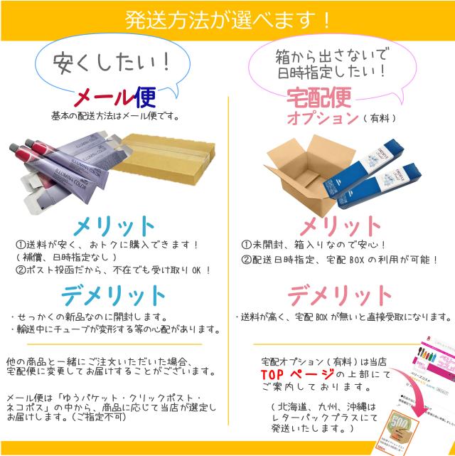 資生堂 アルティスト 80g と オキシ 100ml セット カカオブラウン