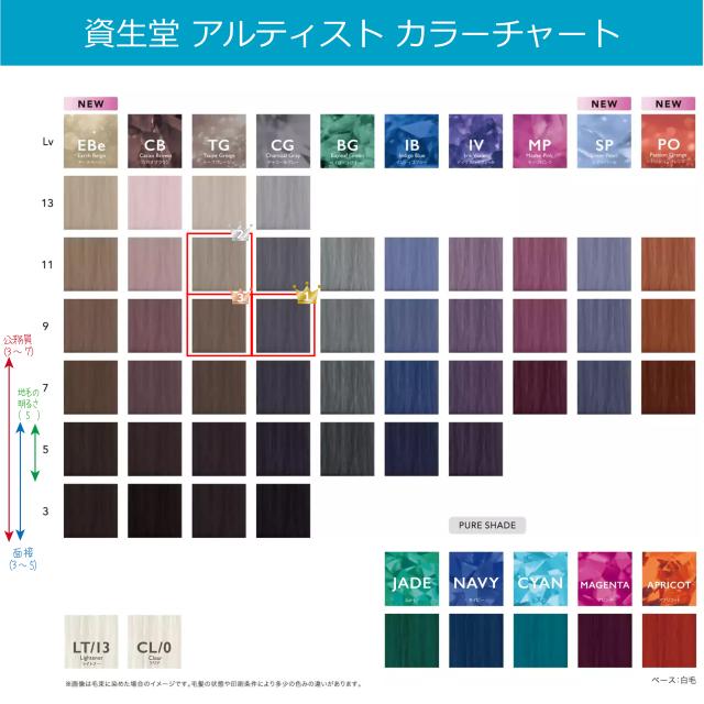 アルティストヘアカラー 36本オキシ3本セット ULTIST 資生堂 アルティスト 80g と オキシ 100ml セット 女性用