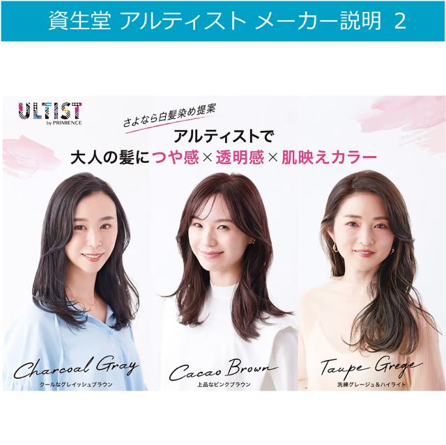 資生堂 アルティスト 80g と オキシ 100ml セット カカオブラウン