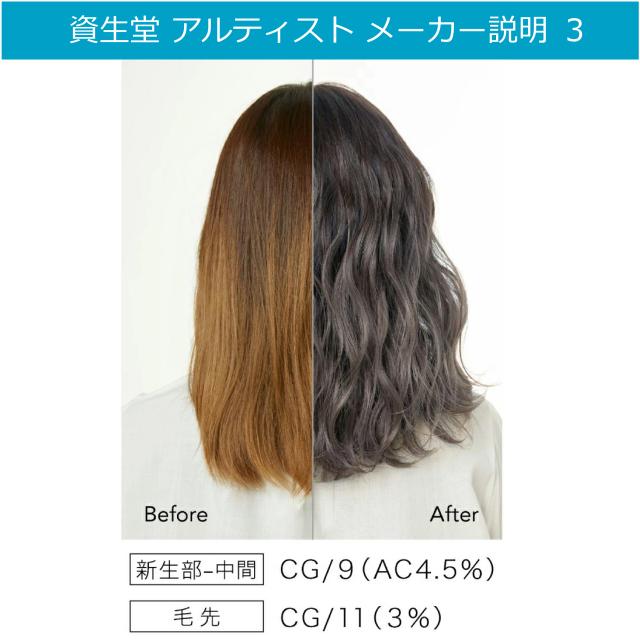 資生堂 アルティスト 80g と オキシ 100ml セット カカオ