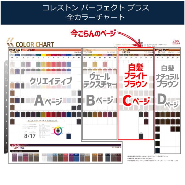 コレストン　パーフェクトプラス　まとめ売り　60個 コレストン パーフェクトプラス まとめ売り 60個 コレストン