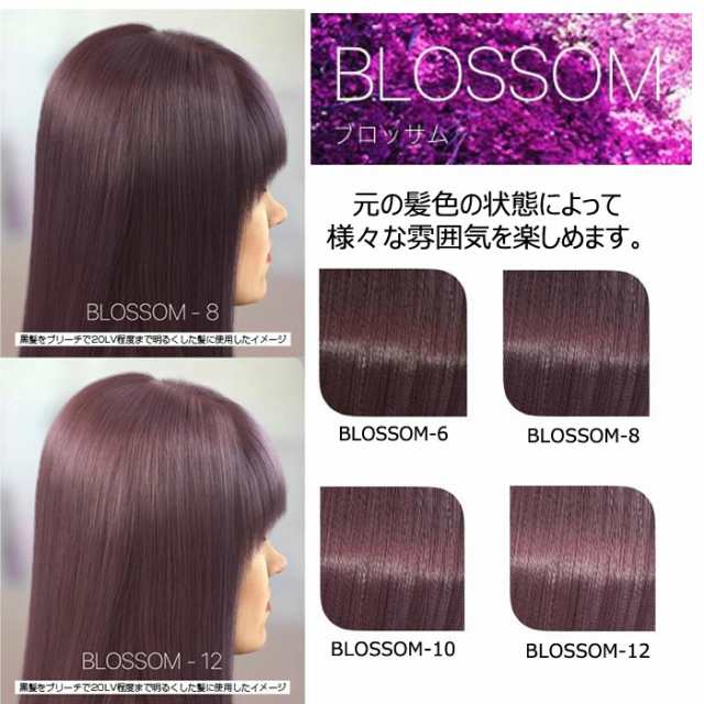 ウェラ WELLA イルミナカラー サファリ 12 80g - カラーリング