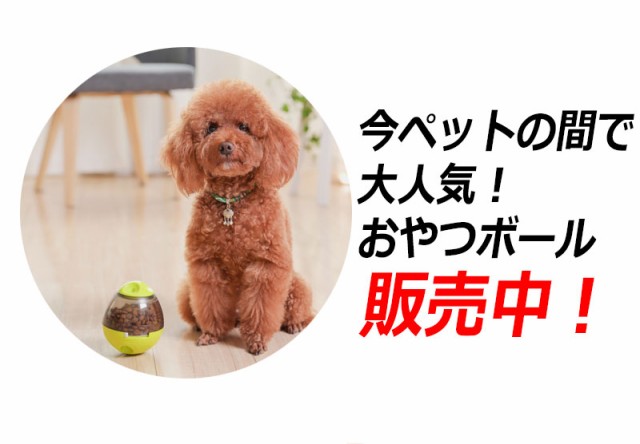 おやつボール 犬用 猫用 給餌 おやつ おもちゃ ボール 早食い防止 餌入れ ストレス解消 エサ お留守番 知育玩具 ペットボール エサボールの通販はau Pay マーケット Kyplaza