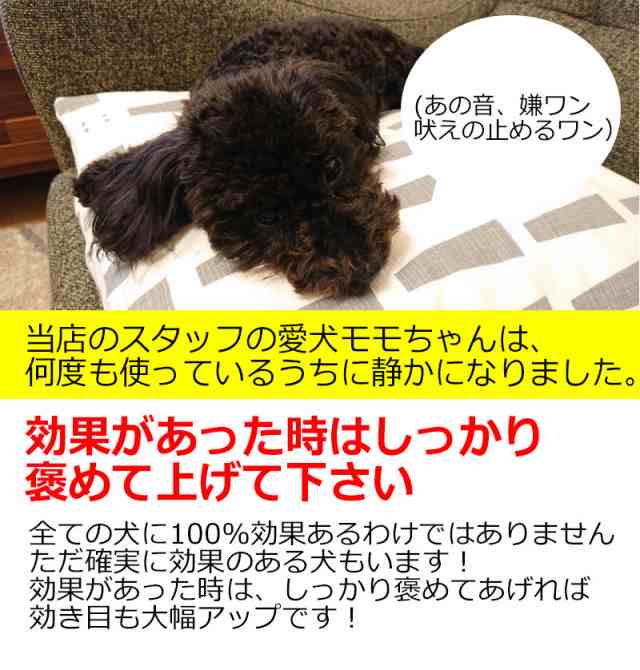 犬用 無駄吠え 禁止くん 首輪 3つの しつけ 方法 音 電気 振動 ムダ吠え 無駄吠え防止 微電流 電気ショック トレーニング 近隣トラブル の通販はau Pay マーケット Kyplaza