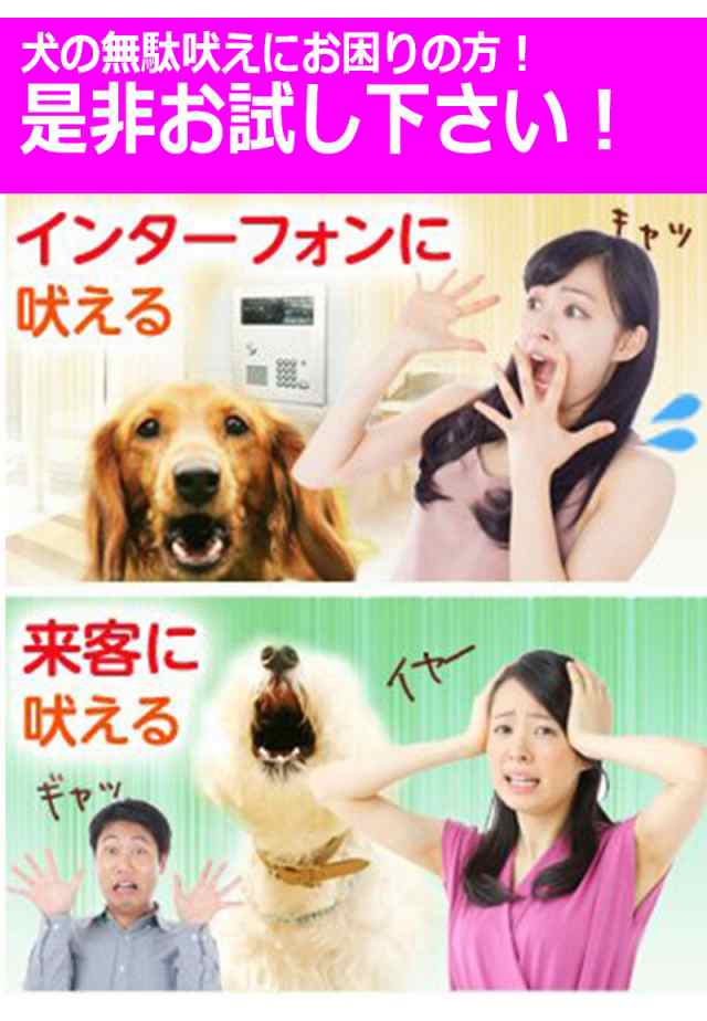 犬用 無駄吠え 禁止くん 首輪 3つの しつけ 方法 音 電気 振動 ムダ吠え 無駄吠え防止 微電流 電気ショック トレーニング 近隣トラブル の通販はau Pay マーケット Kyplaza