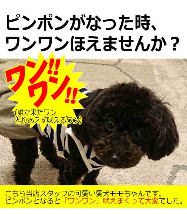 犬用 無駄吠え 禁止くん 首輪 3つの しつけ 方法 音 電気 振動 ムダ吠え 無駄吠え防止 微電流 電気ショック トレーニング 近隣トラブル の通販はau Pay マーケット Kyplaza