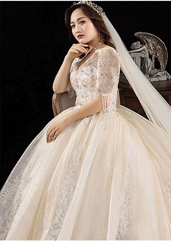 送料無料】ウェディングドレス 花嫁 大きいサイズ 袖あり Vネック